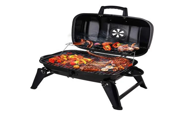 BBQ Portable Gas Grill Types