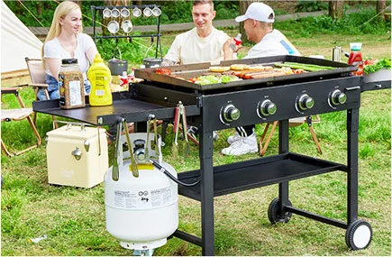 Portable Propane EGB Series Gas Grill