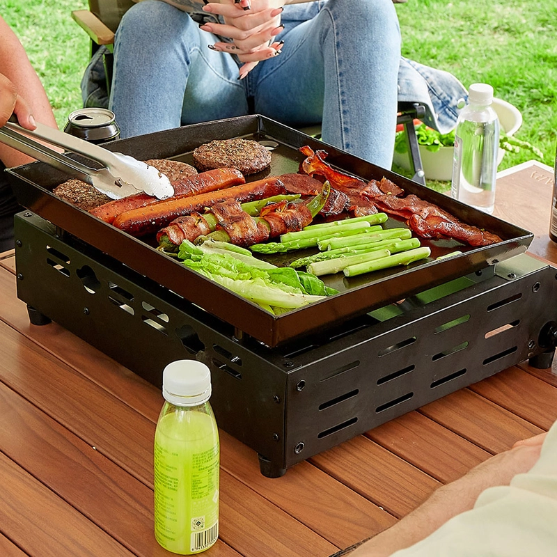 stainless steel portable gas grill
